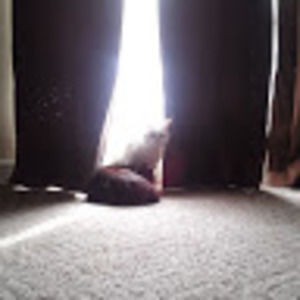 Meet your Posher, Melanie